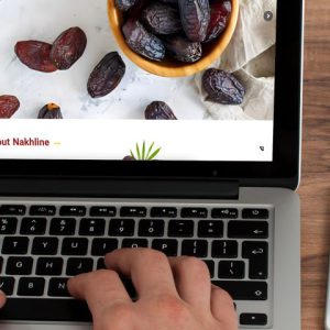 سایت دو زبانه نخلینه